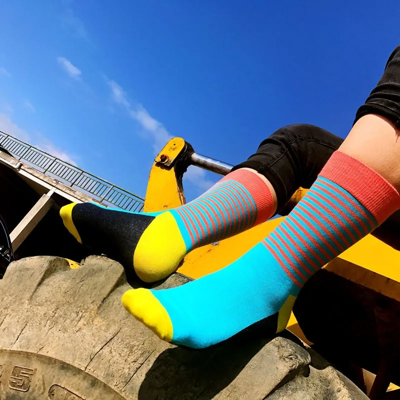 4596504474_934137848