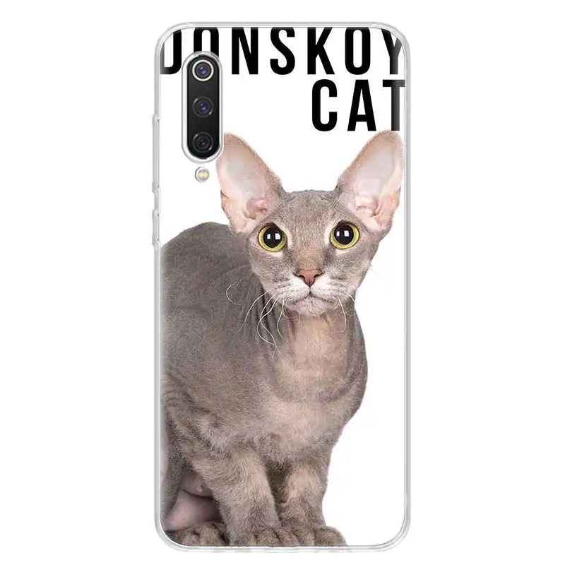 TW001-6 Кошка Сфинкс крышка чехол для телефона для Xiao mi Red mi Note 8 Pro 8A 7 7A 5 5A 6A 4X S2 K20 mi 5X6X9 8 CC9 F1 корпус под плетенную сумку - Цвет: TW001-6