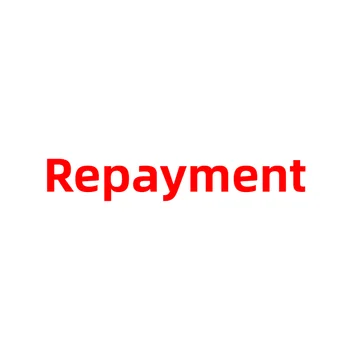 

Repayment