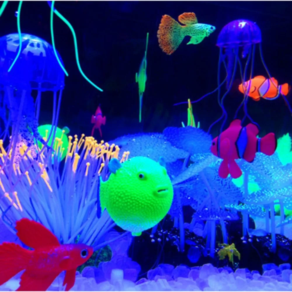 VI1489657617_Q6Q118-6