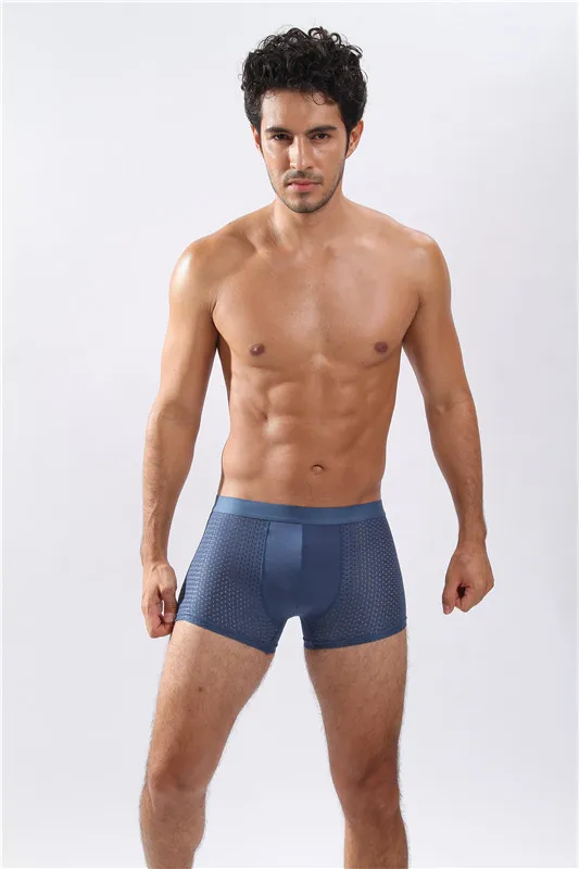 Navy Blue Дышащие шелковые мужские боксеры с сеткой, плюс размер, мужские боди, нижнее белье, пикантные мужские трусы, трусы - Цвет: Navy Blue