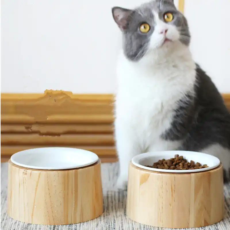 ceramic cat feeder