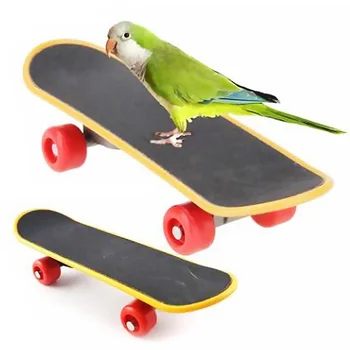 

Bird Perch Toy Mini Skateboard Bird Playing Training Plastic Skating Board Pet Toy Supplies Pattern Random
