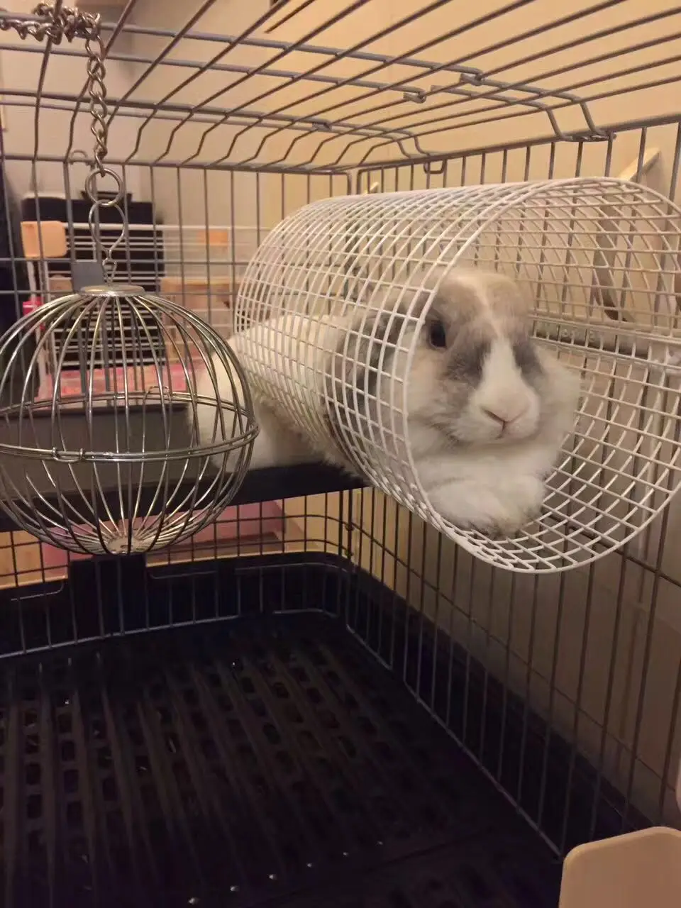 Sendu Rabbit Tunnel Dragon Cat Rabbit Roll Tianqi Rat Tunnel Kawai Tong Air Tunnel Round Tunnel