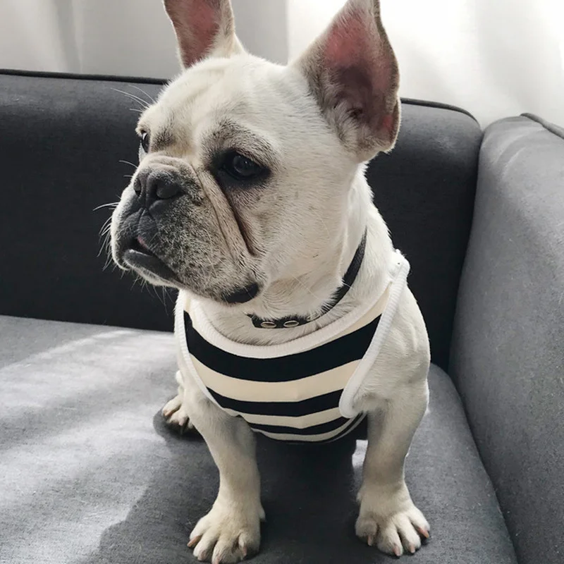 

Striped Elastic Chihuahua Vest Small Medium Clothes for Dogs French Bulldog Costume Puppy Pug Chiwawa Suit Schnauzer Pet Outfit