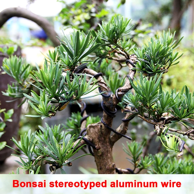 Filo Per Bonsai In Alluminio Anodizzato - Set 5 Spessori (1,0-3,0 Mm) Per Modellare Le Piante - Foto 12