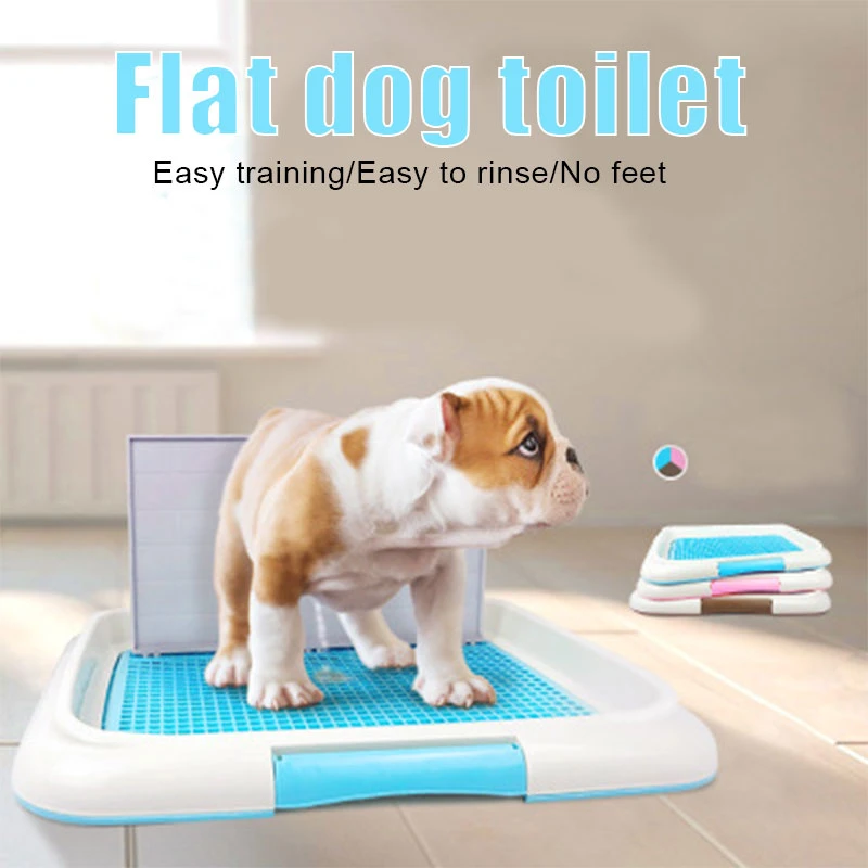 indoor dog potty station