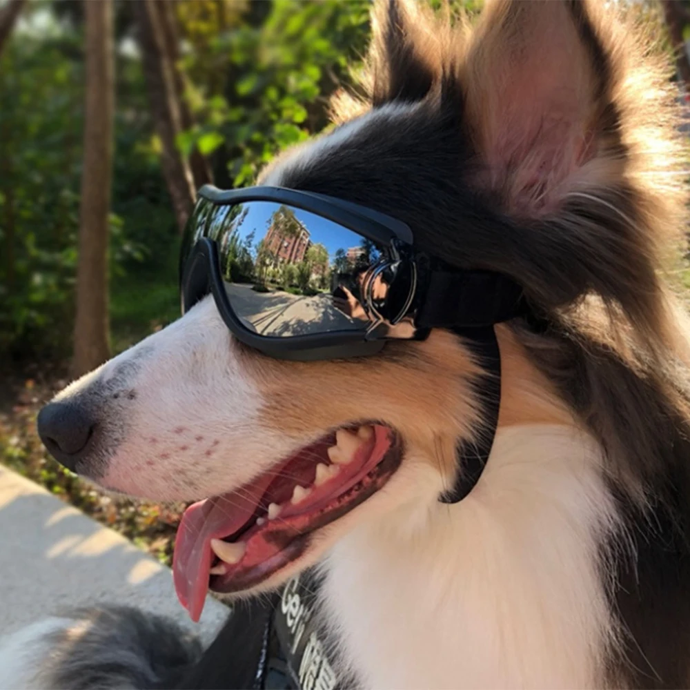 Dog Sunglasses Windproof Goggles Eye Wear Protection Sun-resistant Glasses