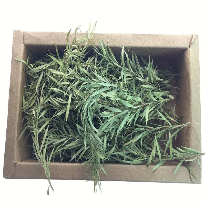 architecture model grass ho train layout10