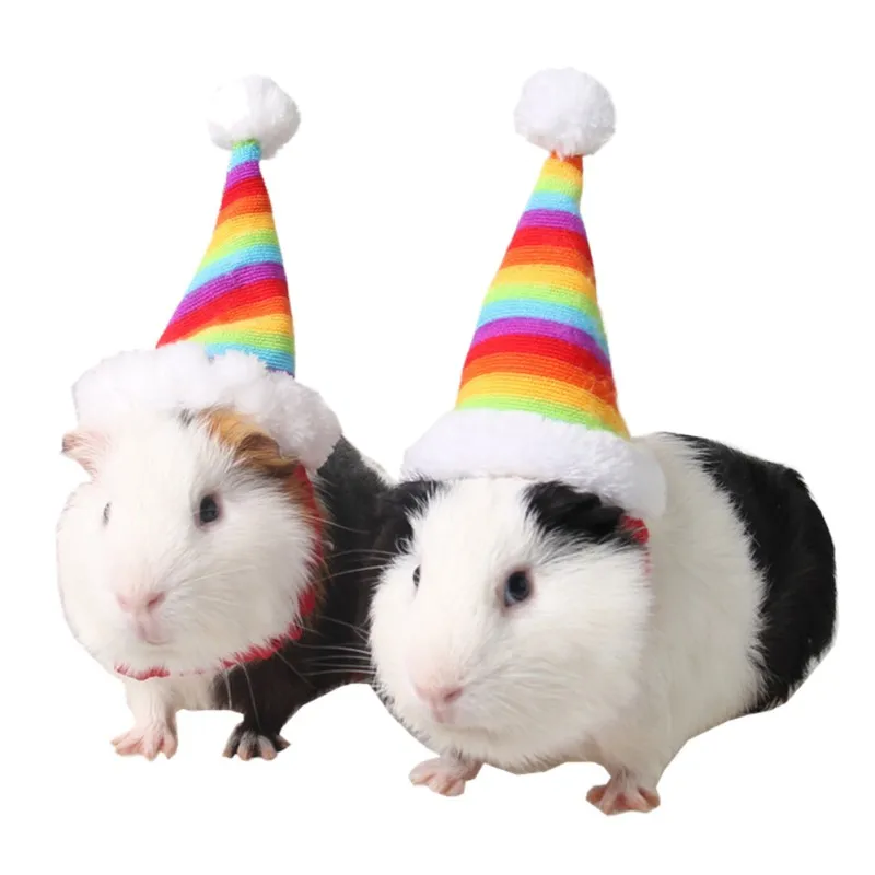 

PPet Dog Cat Rainbow Hat Colorful Christmas Hat with bands for Small Animals Cats Hamster Decoration Tols CM
