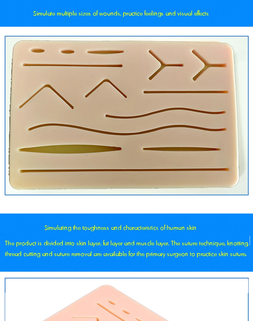 Подкладка для наложения шва для практики и тренировок | мышцы, жир, композитный материал и кожа с предварительно ранами | не легко ломается