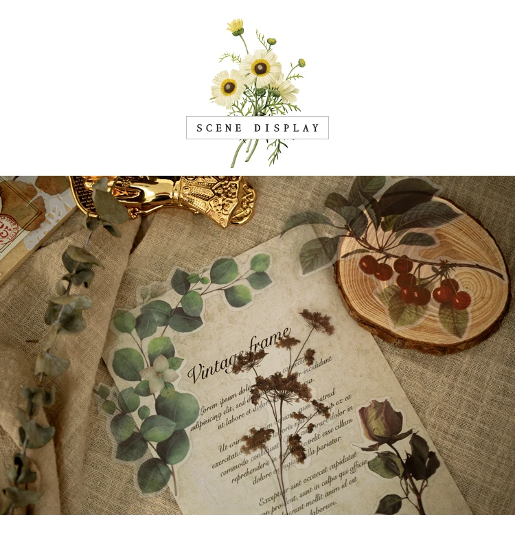 植物研究所贴纸包_16