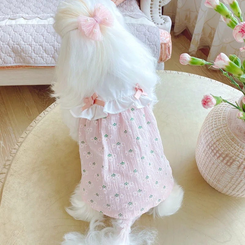 dress2