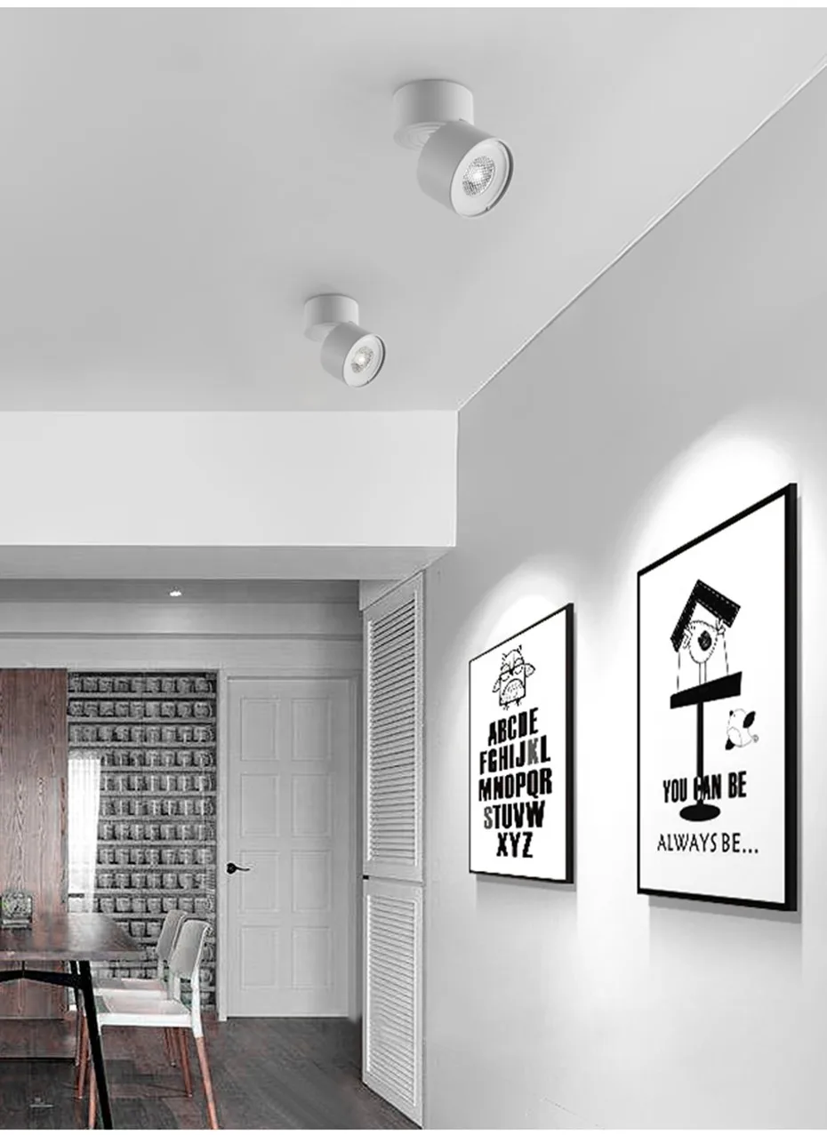 led spot light  (10)