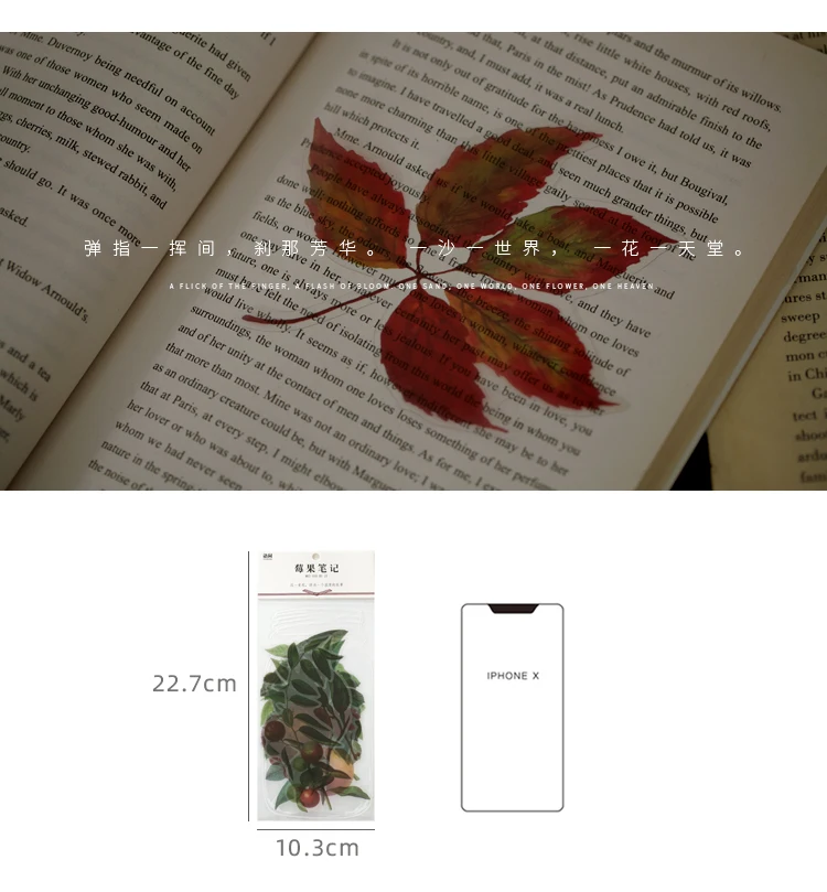 植物研究所贴纸包_21