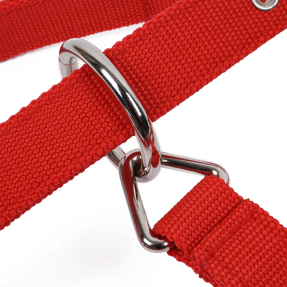 Horse Riding Belt Bridle Adjustable Halter Headstall Horsing Accessory Red/Blue