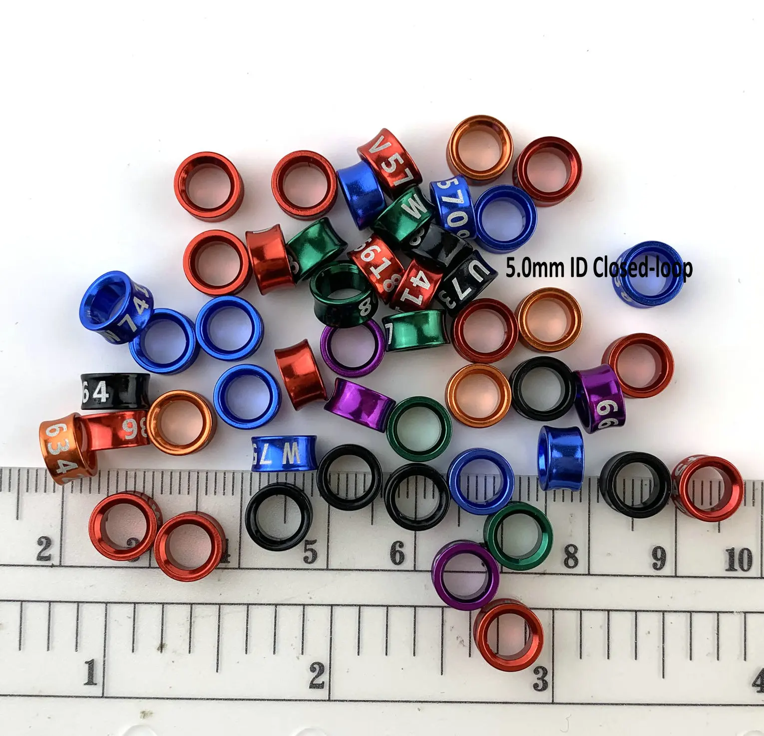 50pcs Aluminium Closed Loop Bird Leg Bands Canary Budgerigar Cockatiel Conure Random Color Multi Colors Bird Foot Rings Aliexpress