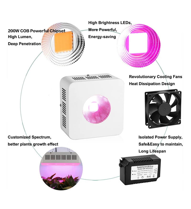 ARKNOAH 200 Вт COB светодиодный светильник для выращивания, полный спектр, для комнатных гидропонных теплиц, светильник для выращивания на всех стадиях