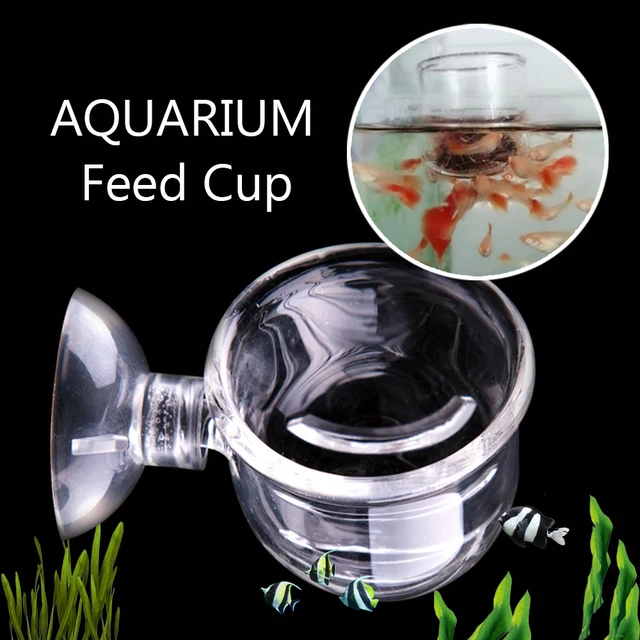 Aquarium Fish Feeder Worms, Feeder Aquarium Fish Tank