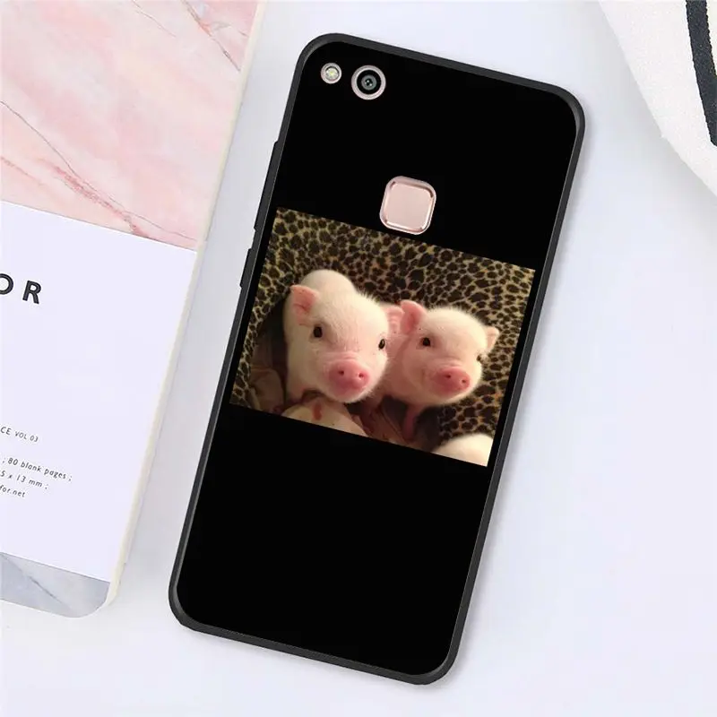 Cute Little Pink Pet Pig