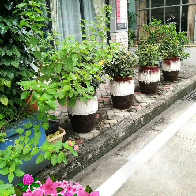 2Db Növényi Támogató Állványvirágok Gyűrű Félkerekű Fém Tartó Tétek Bonsai Kerti Szerszámok - Image 5