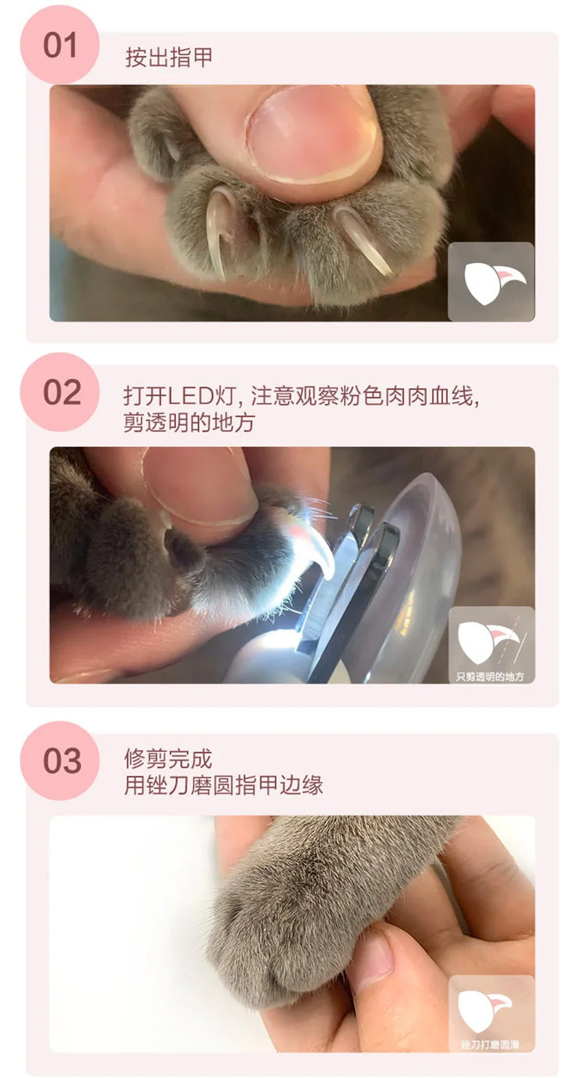 ペットの爪爪カッターledライトグルーミングはさみ猫釘クリッパー爪 