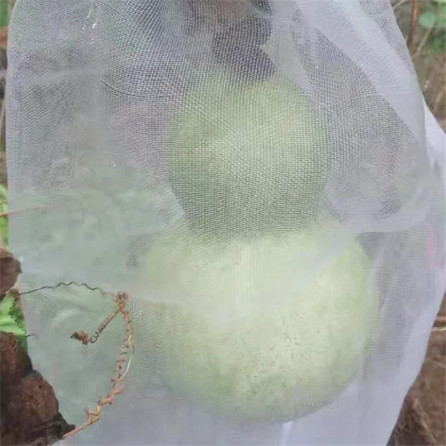 1 Darabos Védje A Növényeket Rovar Szúnyogcsípésektől Nettó Táska Szőlőfürt Virágmag Zöldségkerti Szerszám Kerti Gátfedők Takaró - Image 4