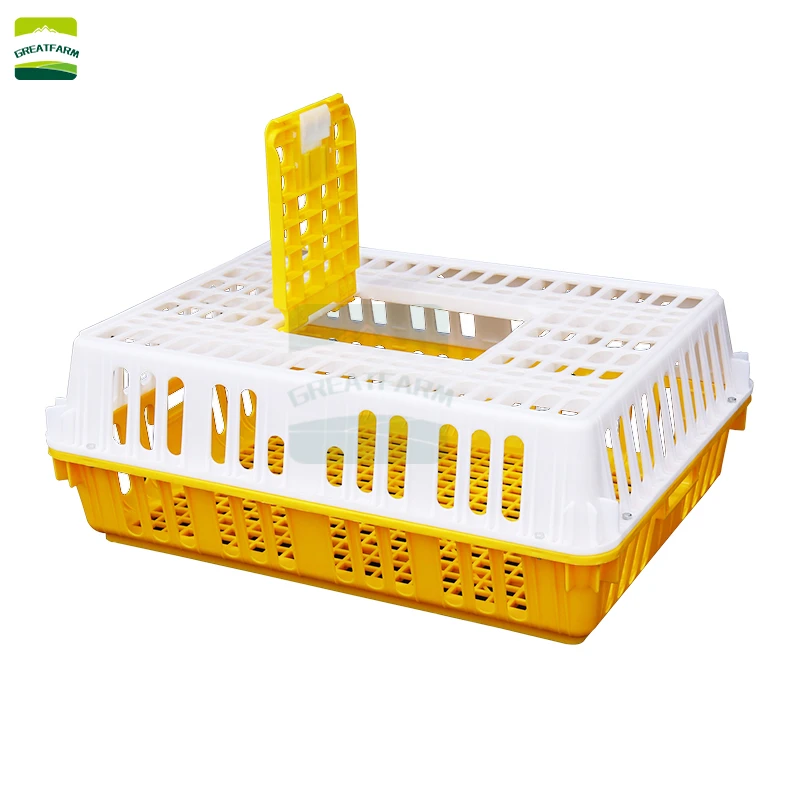 Kumes Hayvanlari Transfer Sepeti Dayanikli Pp Kumes Hayvanlari Tasima Tavuk Kafesi Tavuk 750x550x270 Buyuk Tavuk Ordek Kaz Tasima Kafes Feeding Watering Supplies Aliexpress Kumes Hayvanlari Transfer Sepeti Dayanikli Pp Kumes Hayvanlari Tasima Tavuk Kafesi Tavuk 750x550x270 Buyuk Tavuk Ordek Kaz Tasima Kafes Feeding Watering Supplies Aliexpress