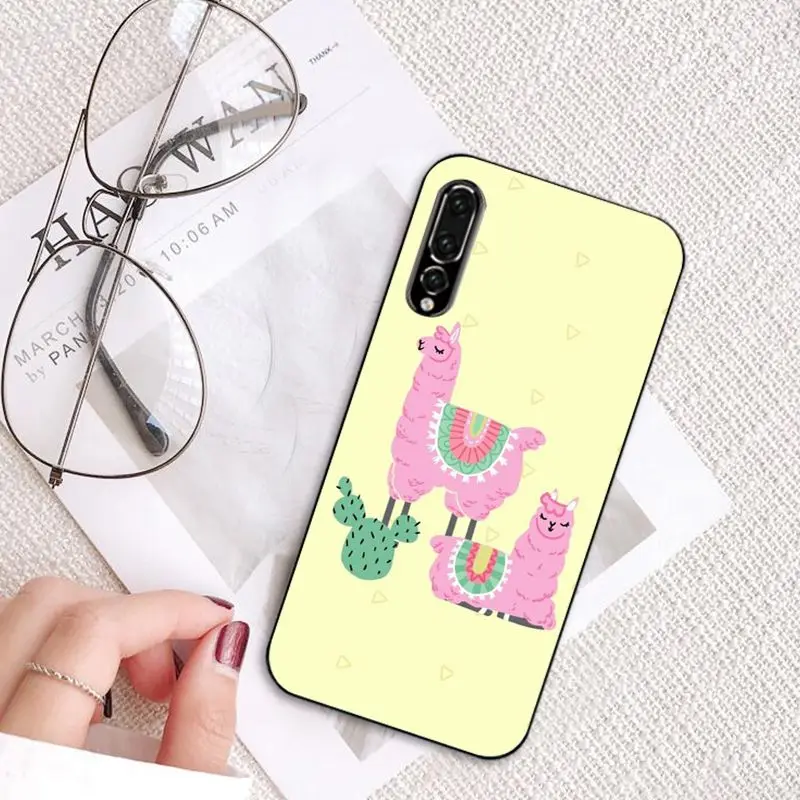 Cartoon Lama Llama Alpacas Animal