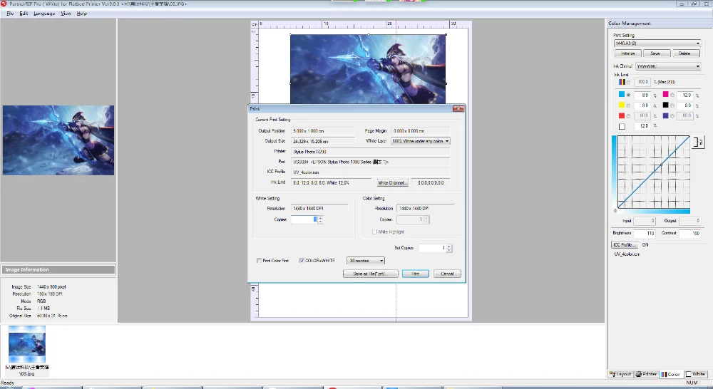 A4 a3 impressora uv software de impressão