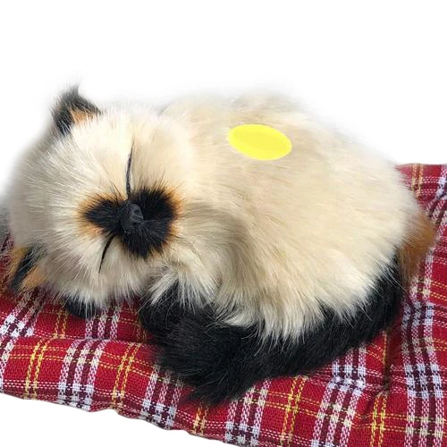 Minder Ustunde Uyuyan Kedi Sevimli Sesli Simulasyon Gercekci