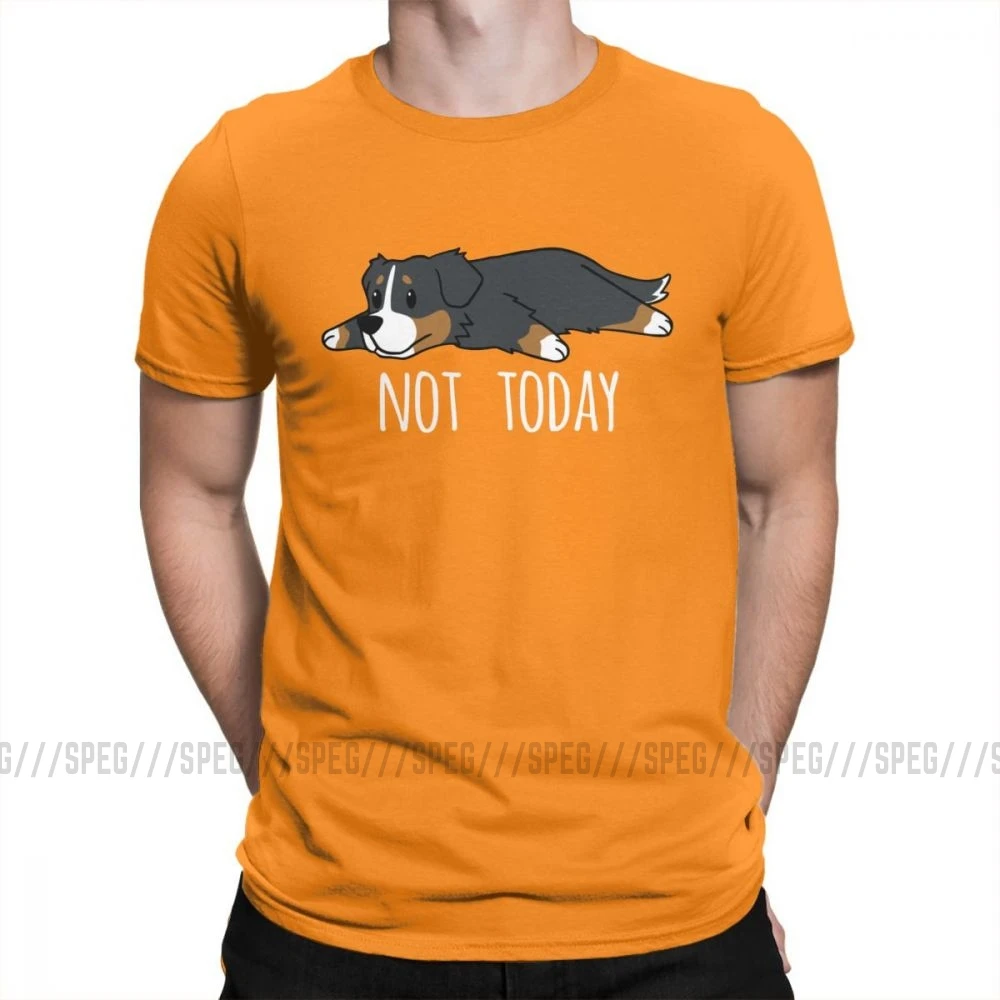 Забавные не сегодня мужские футболки с Бернской горной собакой, потрясающие футболки из хлопка с коротким рукавом, футболки с круглым вырезом, топы высокого качества - Цвет: Оранжевый
