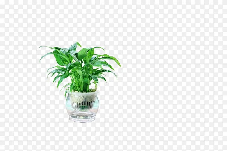 花盆室内植物桌上加湿器 工厂png图片素材免费下载 图片编号 Png素材网