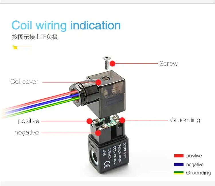 任侃侃小泰迪_10