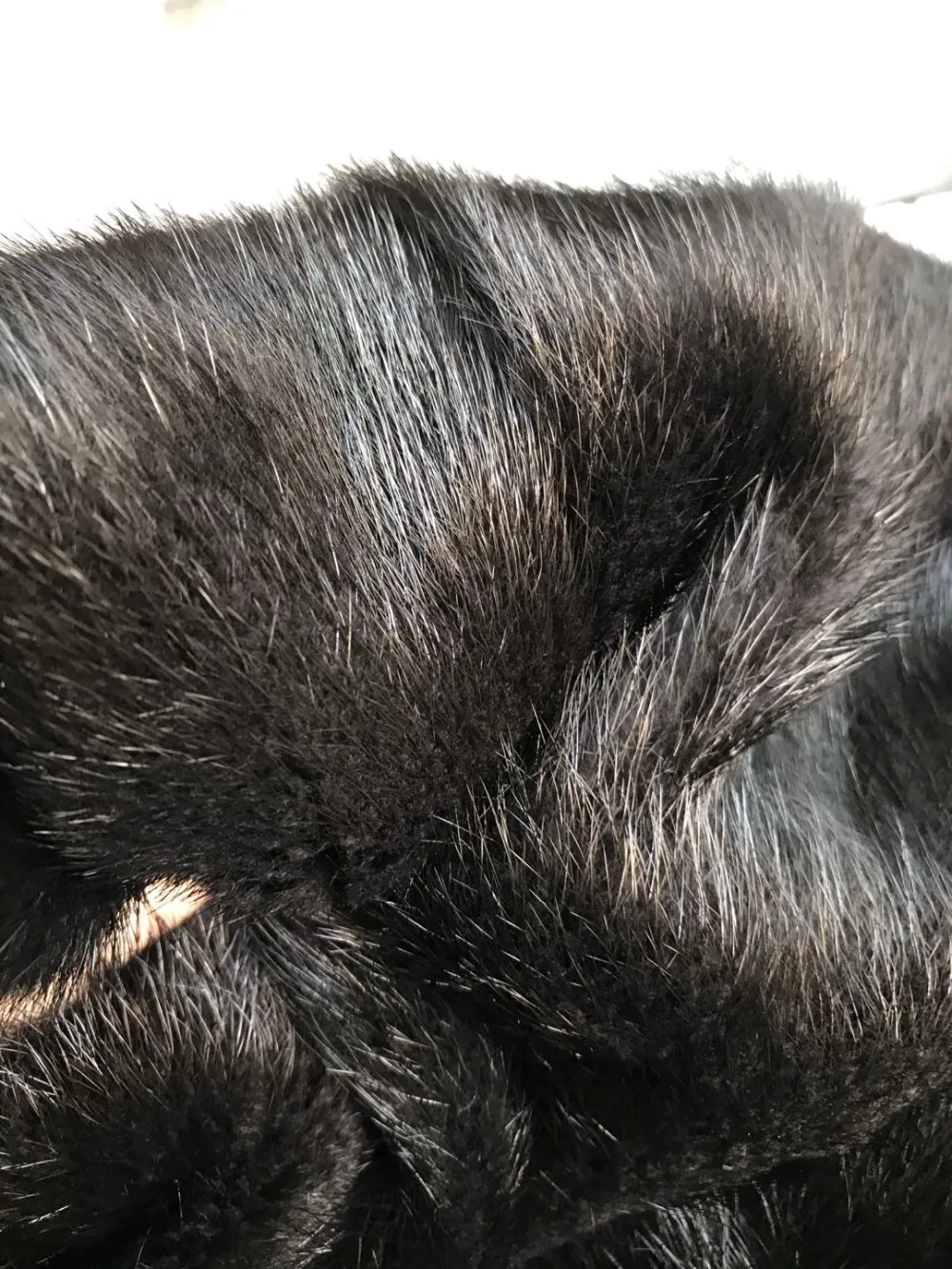 228383ab-9965-4e10-9ac0-205472483892