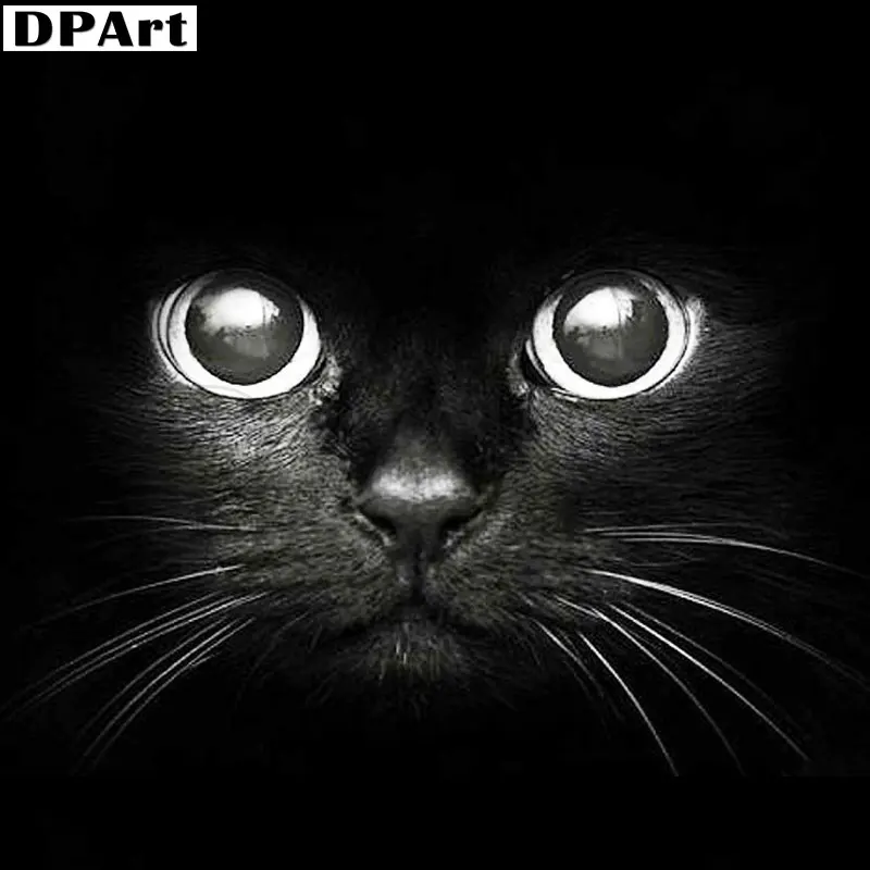 Алмазная 5D картина Daimond полный квадрат/круглый черный кот стразы искусственная