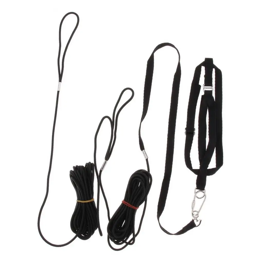 Adjustable Bird Harness 8 Meters For Parrot Budgerigar Macaws Finches Canary
