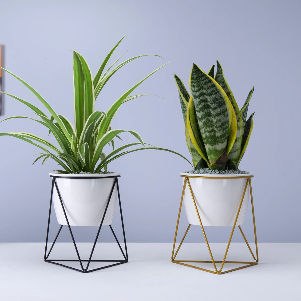 

Hua xia ju Scandinavian Minimalist Creative Large Size Triangular Green Vegetation Hob Flowerpot Iron Art Ceramic Flowerpot Pack