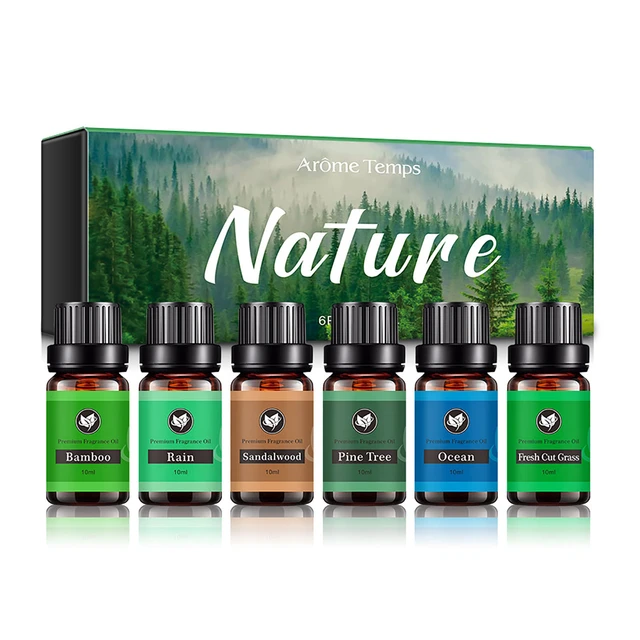 Candle Fragrance Oil Natural Aromatherapy Oils For Diffuser 6 Pcs 10ml Fall  Thanksgiving Diffuser Oils Scents With Aromas Of - AliExpress