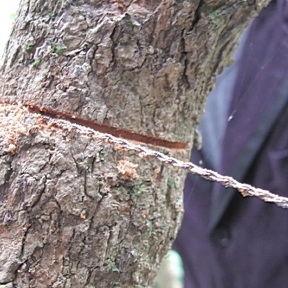 TY58500-C-20191136-1