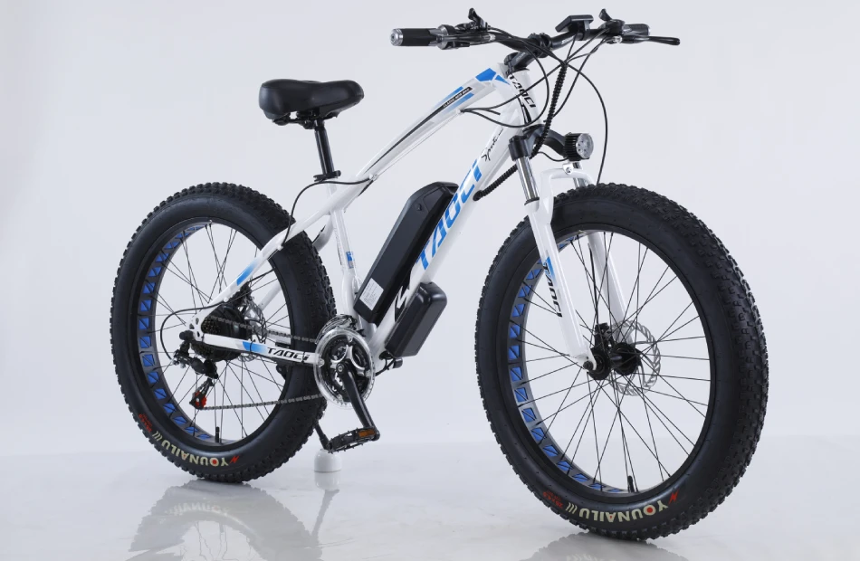 26 Inch 750W Electric Bicycle  Snow Beach Mountain Bike Fat Tire 4.0 Power E Bike Adult