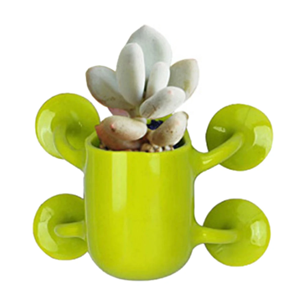 Creative Mini Flower Pots Bonsai Pants with Suction Cup Wall Flowerpot Flowers Cactus Culture Container Home Office Decor Plante