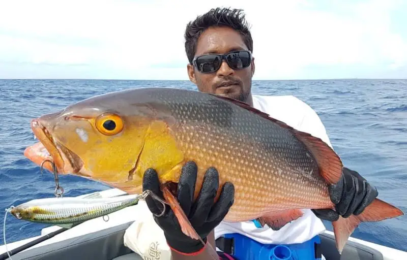 微信图片_20180714121943