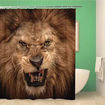 

Bathroom Shower Curtain Roar Shot of Roaring Lion Angry Animal Head Growl 72x72 inches Waterproof Bath Curtain Set with Hooks