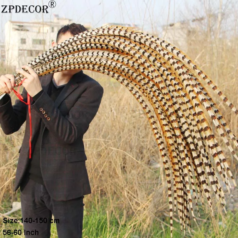 ZPDECOR 천연 리브 베너리 꿩 꼬리 깃털, 140-150cm 