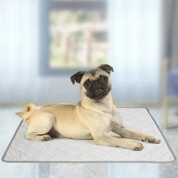 

2 In 1 Pet Dog Pee Mat Waterproof Reusable Dog Bed Mats Dog Urine Pad Puppy Pee Absorbing Pad Rug For Pet Training Cover
