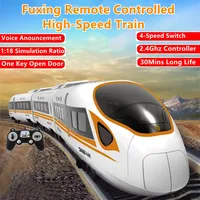 Four-speed Transmission Remote Control High-speed Rail 30Mins 114CM Voice Broadcast One Key Switch Door Simulation RC Train Toy 1