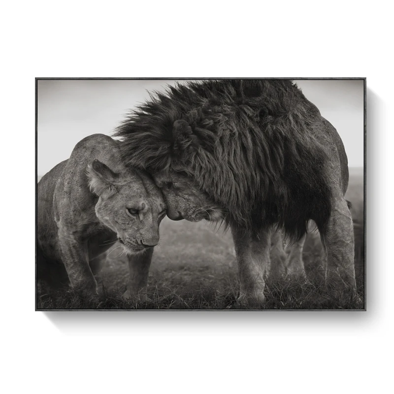 Head To Head Lions Canvas Painting