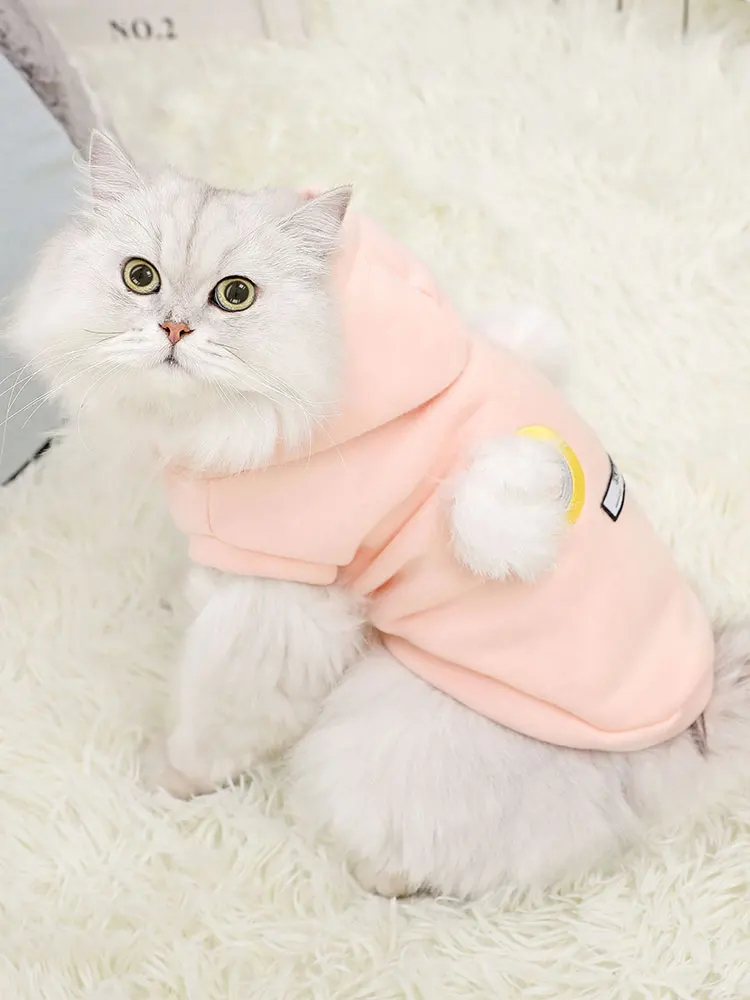 Hoopet Одежда для кошек, талисман, куртка для собак, костюм, французский бульдог, мопс, свитер, костюм для кошек, одежда с капюшоном, пальто BB5WY010