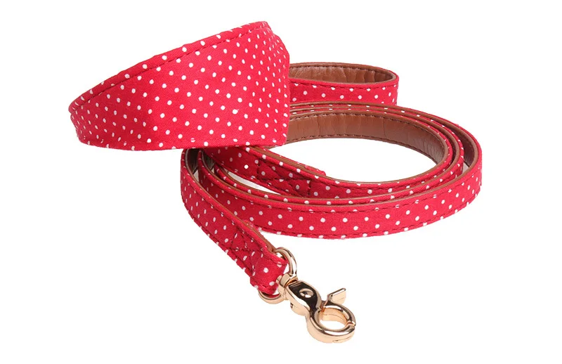 chihuahua collar